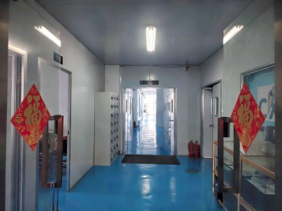 A Glimpse of the Company